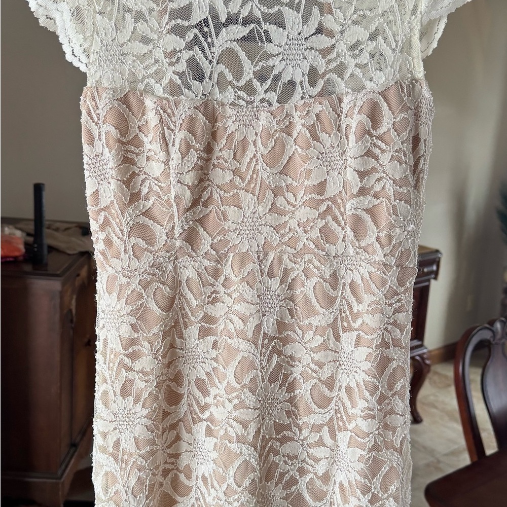 Elegant Lace Overlay Dress
